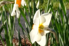 DSC00326