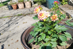 20171013_134453