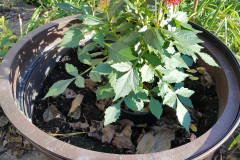 20171020_174953