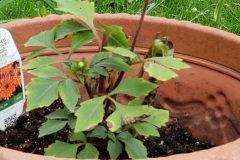 20190610_144342