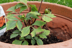 20190610_144345