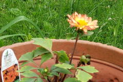20190610_144355