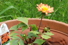 20190610_144356