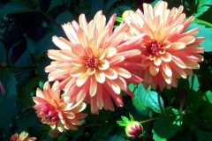 6a00d83452d18969e200e54f25945e8833-800wi