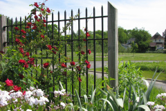 2012-05-11-Minnetrista-Flowers-2-26