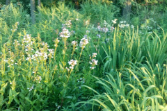 2012-06-07_20-45-28_53