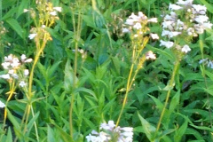 2012-06-07_20-45-50_95