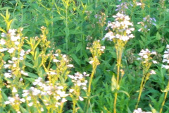 2012-06-07_20-46-04_600