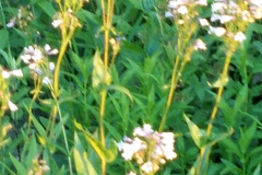 2012-06-07_20-46-11_477
