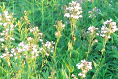 2012-06-07_20-46-21_801