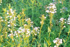 2012-06-07_20-46-24_811