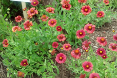 2012-06-23_12-55-09_795