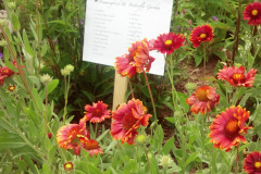 2012-06-23_12-55-16_203