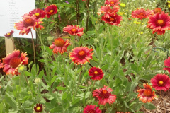 2012-06-23_12-55-23_875