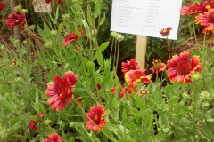 2012-06-23_12-55-28_962