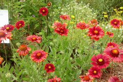 2012-06-23_12-55-33_294