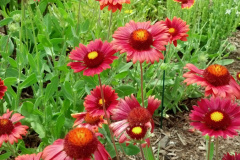 2012-06-23_12-55-42_70