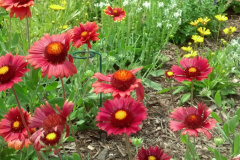 2012-06-23_12-55-44_925