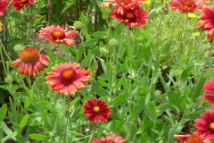 2012-06-23_12-56-02_870