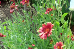 2012-06-23_12-56-24_889