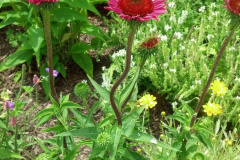 2012-06-23_12-56-45_740