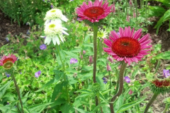 2012-06-23_12-56-53_240