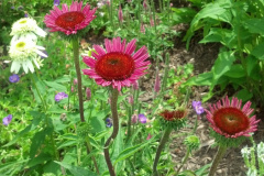 2012-06-23_12-56-59_53