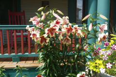 20150628_154428