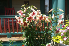 20150628_154430