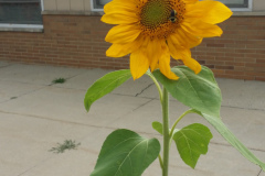 20150825_180415