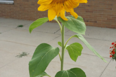 20150825_180421