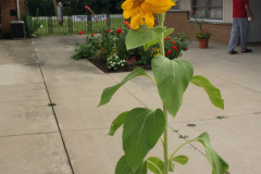 20150825_180426