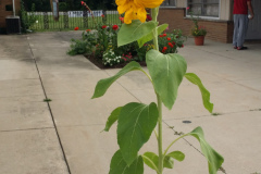 20150825_1804260
