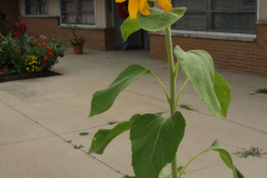 20150825_180430