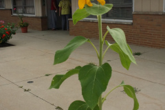 20150825_180431