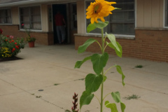 20150825_180441