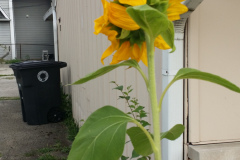 20150825_180448