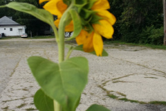 20150825_180513