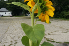 20150825_180515