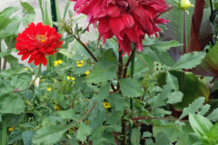 20150825_180529