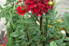 20150825_180535