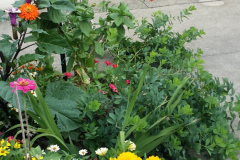 20150825_180552