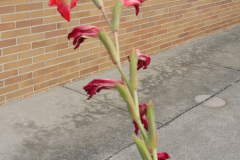 20150825_180603