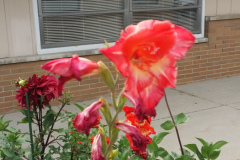20150825_180608