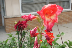 20150825_180610