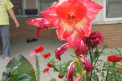 20150825_180613