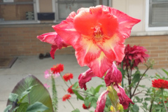 20150825_180615