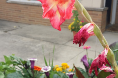 20150825_180621