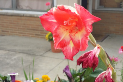 20150825_180627