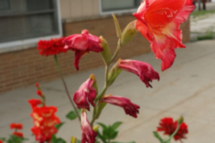 20150825_180635